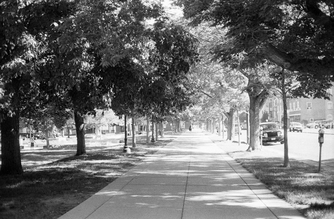 Sidewalk on East Lawn of Colorado State Capitol