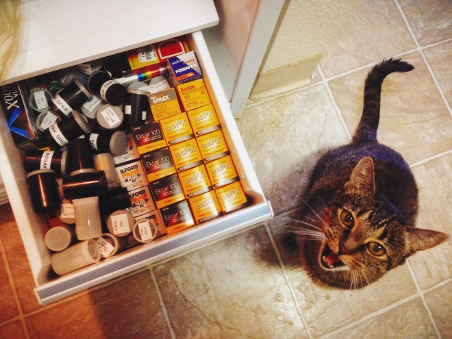 Bonnie and the film drawer