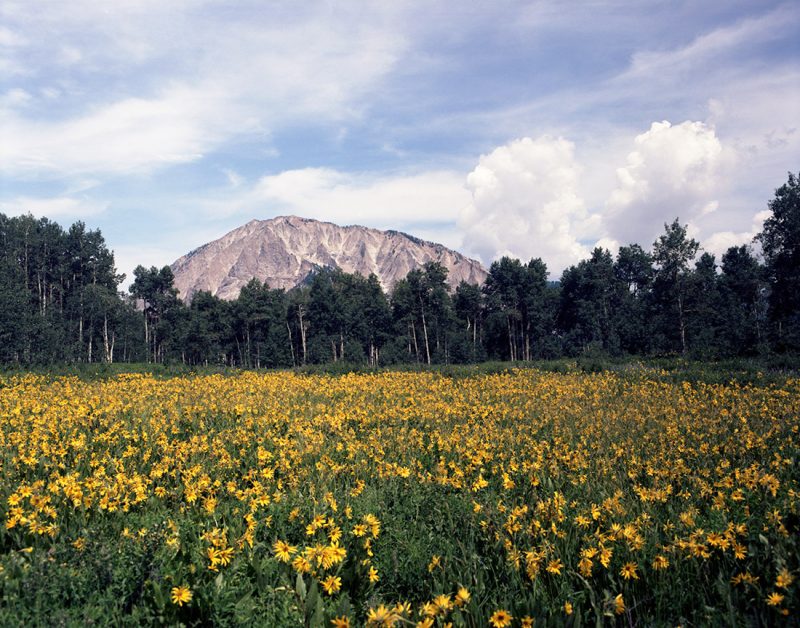 Marcellina Mountain