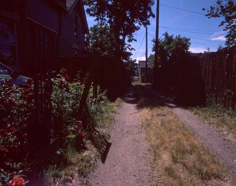 Dirt alley and trellises