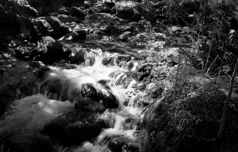 Creek in Rocky Mountain National Park